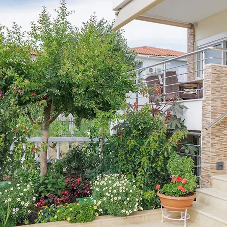 Sofia 3* Νικήτη