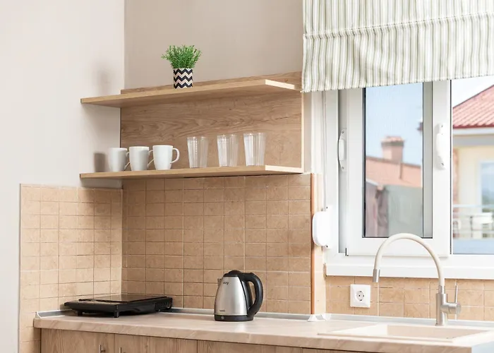 Sofia 公寓式酒店 尼基季